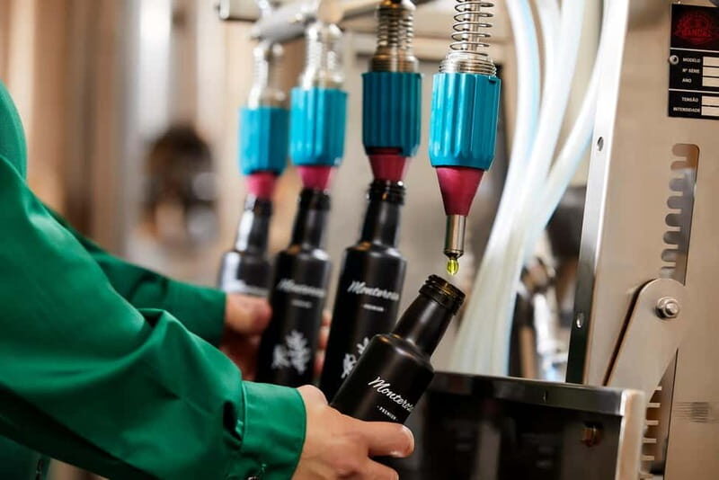 Algarve: Olive Oil, Market, and Ria Formosa Boat Tour - An In-Depth Look at the Tour