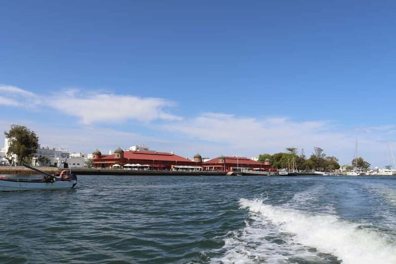 Algarve: Olive Oil, Market, and Ria Formosa Boat Tour - Who Would Love This Tour?