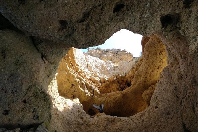 Algarve Private Tour from Lisbon - The Experience: Pros and Cons from Reviews