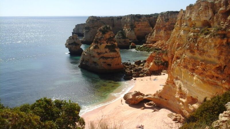 Algarve: The Best of the West Full Day Tour - Authentic Experiences & Reviewer Insights