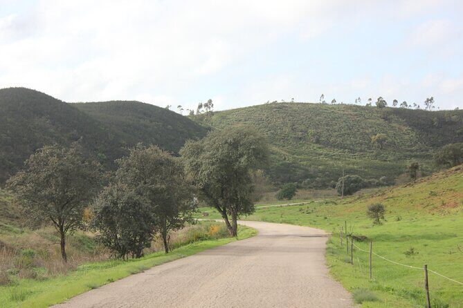 Algarve - The best views from Alvor to Ferragudo by ATV - Practical Tips for Your Trip