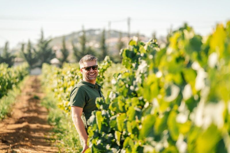 Algarve: Vineyard Tour & Premium Wine Tasting in Silves - Key Points