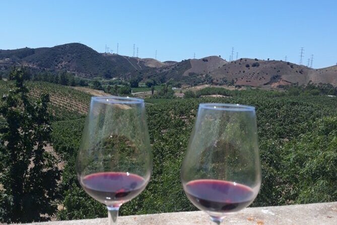 Algarve wine tour and farmer's lunch at wine estate - The Sum Up