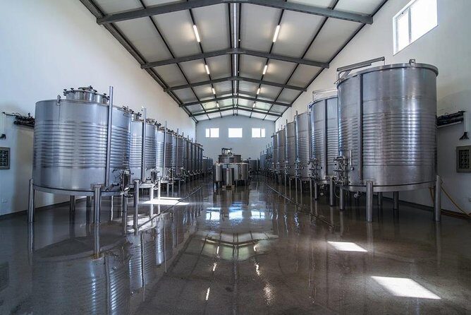 Algarve wine tour and mountain top trip with lunch or dinner at sunset time - An In-Depth Look at the Tour Experience
