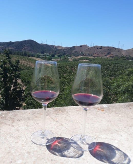 Algarve Wine Tour of two estates guided by wine expert - Algarve Wine Tour of Two Estates Guided by a Wine Expert: A Detailed Review