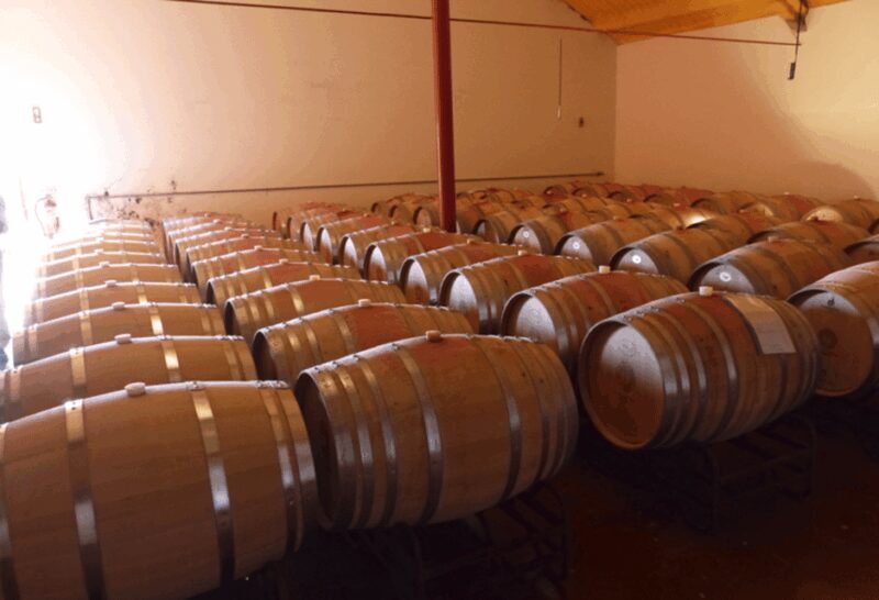 Algarve Wine Tour of two estates guided by wine expert - The Experience’s Strengths and Considerations