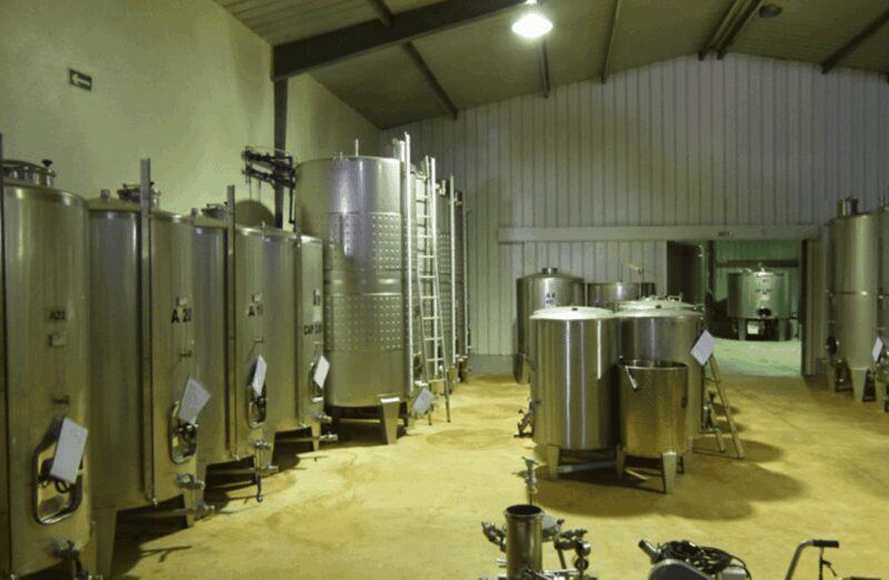 Algarve Wine Tour of two estates guided by wine expert - Who Will Love This Tour?