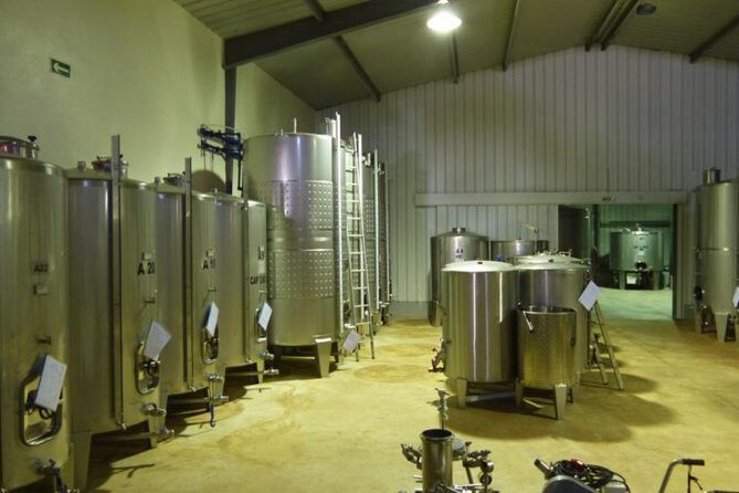 Algarve Wine Tour of Two Wine Estates - Why This Tour Works Well