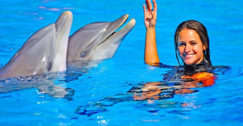 Algarve: Zoomarine Amusement Park Entry Ticket - What to Expect at Zoomarine Algarve