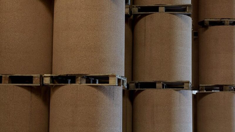 ALGARVE'S CORK TRAIL - Who Will Love This Tour?