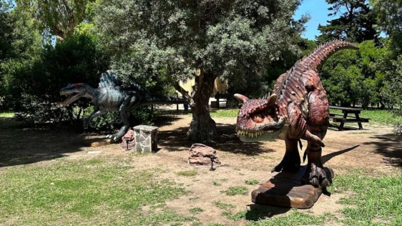 Alghero: Discover dinosaurs in Porto Conte Park - Key Points