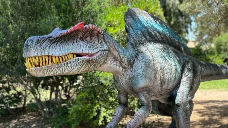 Alghero: Discover dinosaurs in Porto Conte Park - A Closer Look at the Dinosaur Exhibit