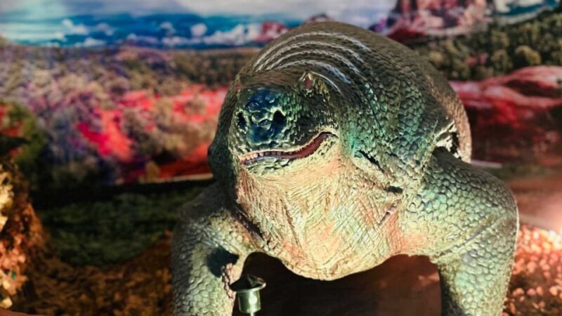 Alghero: Discover dinosaurs in Porto Conte Park - What to Expect During Your Visit