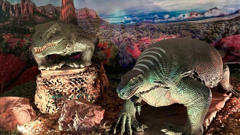 Alghero: Discover dinosaurs in Porto Conte Park - The Overall Experience and Value