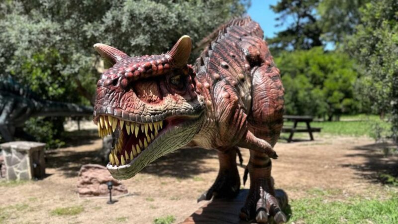Alghero: Discover dinosaurs in Porto Conte Park - Who Would Enjoy This Tour?