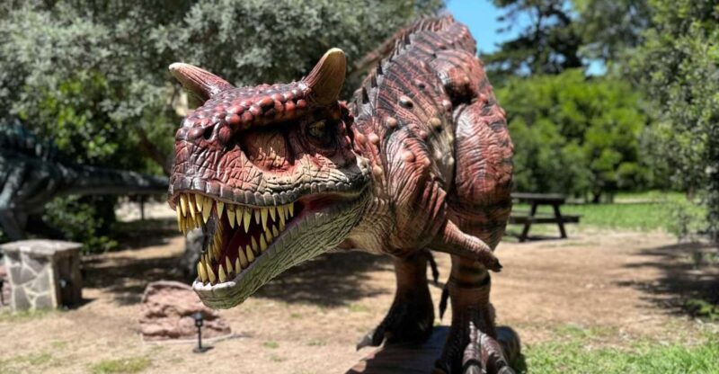 Alghero: Discover dinosaurs in Porto Conte Park - The Sum Up