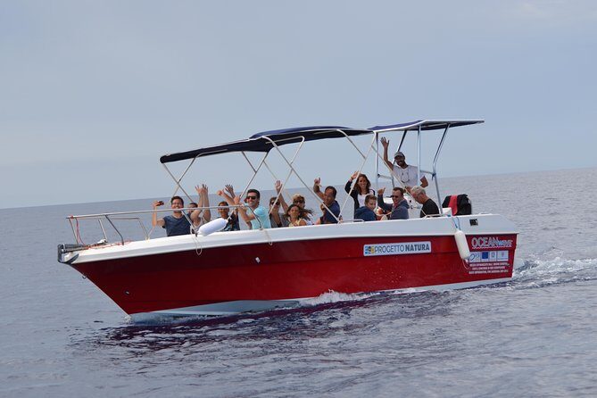 Alghero - Dolphin Watching (Spring & Autumn Tour) - Key Points