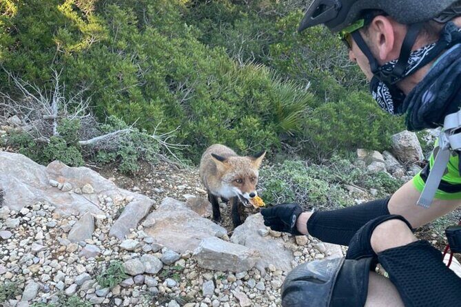 Alghero Ebike Tour In Porto Conte Park - Summary of Value