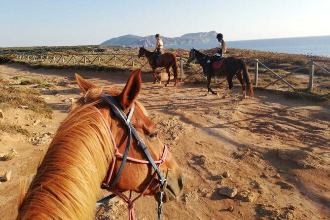 Alghero: horseback ride in Porto Ferro and Lake Baratz - Who This Tour Is Perfect For