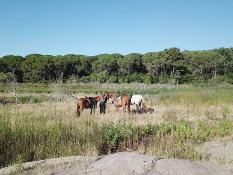 Alghero: Lake Baratz Guided Horseback Ride - An In-Depth Look at the Experience
