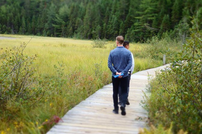 Algonquin Group Camping Adventure (3 Day) - What Could Be Improved