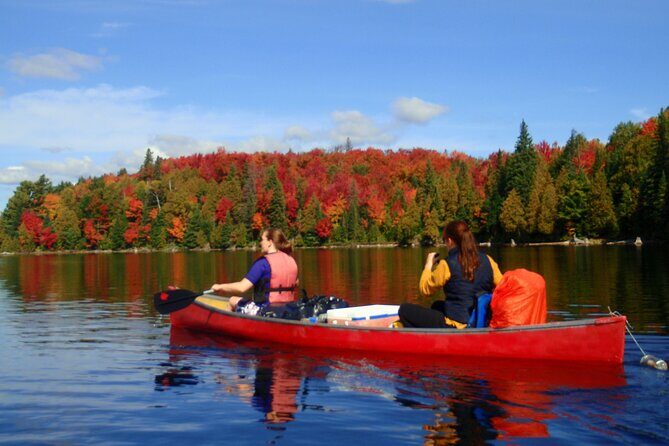 Algonquin Park 4-Day Deluxe Camping & Canoeing Adventure - An Authentic Wilderness Escape in Algonquin Park