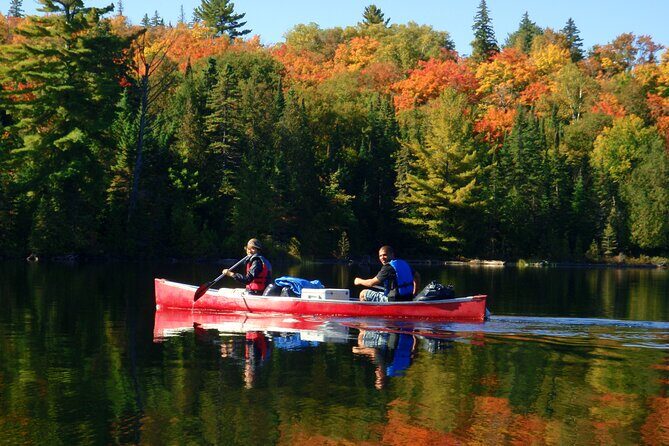 Algonquin Park 4-Day Deluxe Camping & Canoeing Adventure - An In-Depth Look at the Experience
