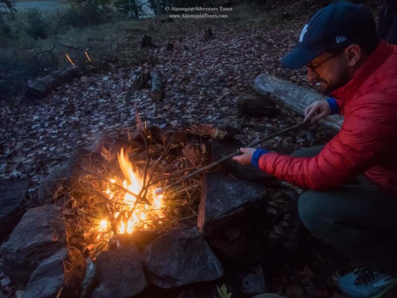 Algonquin Park: Canoe Camping Safari - Exploring the Itinerary and What You’ll Experience