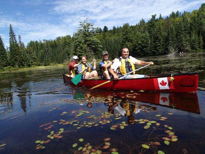 Algonquin Park: Guided Canoe Day Tour - Cliff Jumping: Thrills and Safety
