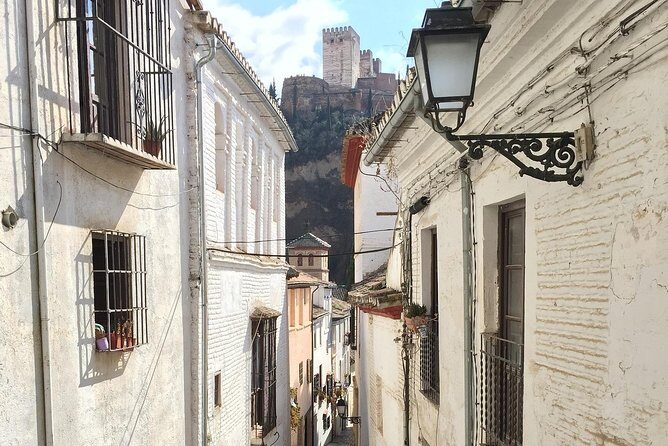 Alhambra and Albaycin Private Tour - Exploring Granada’s Past in Comfort and Style