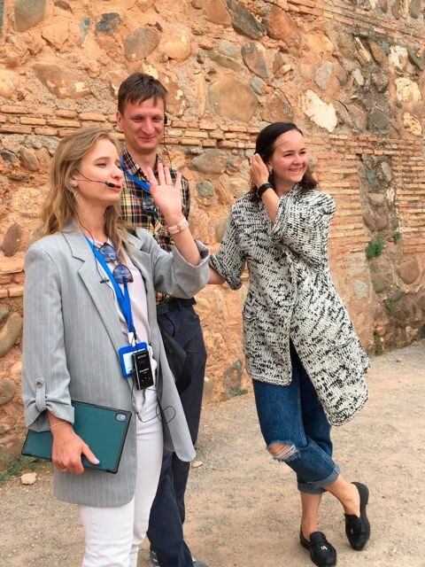 Alhambra and Nasrid Palaces Guided Tour with Tickets - Who Should Book This Tour?