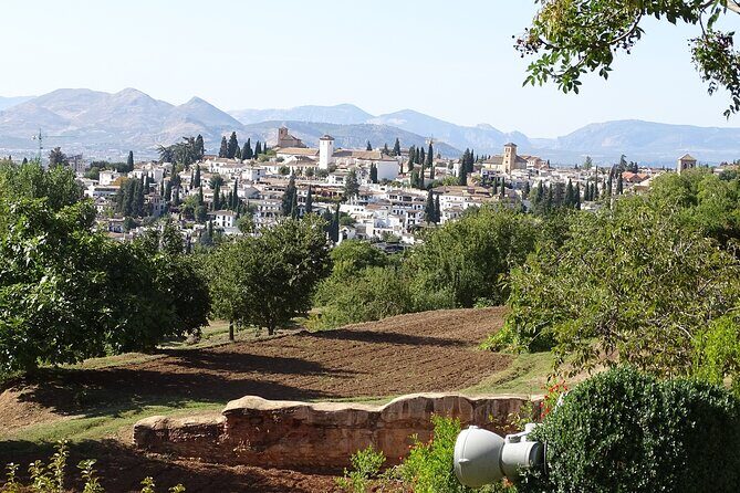 Alhambra and Nasrid Private Walking Tour with Food Tasting - Who Is This Tour Best For?