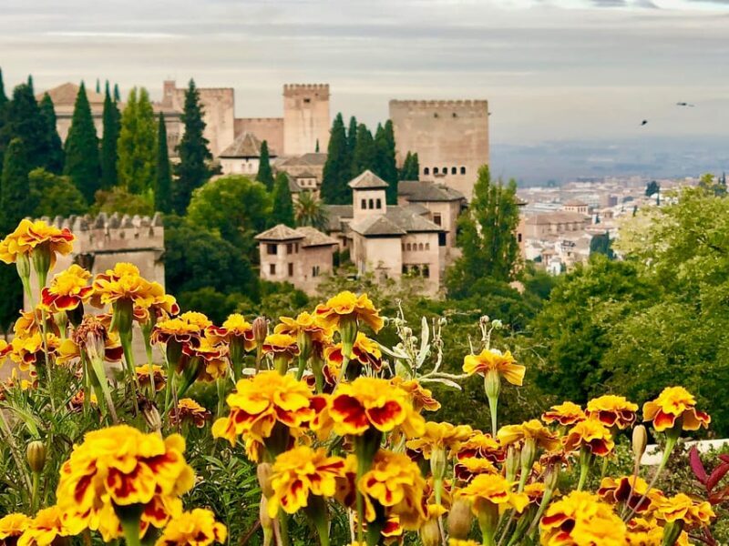 Alhambra: Guided Private Tour with Fast-Track Entry - What Makes This Tour Stand Out?
