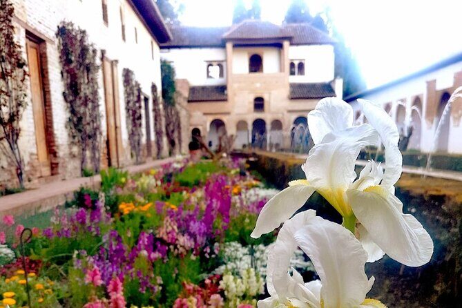 Alhambra Private Tour with Tickets to the Nasrid Palaces - The Sum Up: Who Is This Tour Best For?