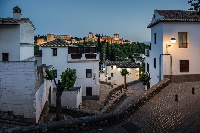 Alhambra with Nazaries Palaces Private Tour - A Deep Dive into the Experience