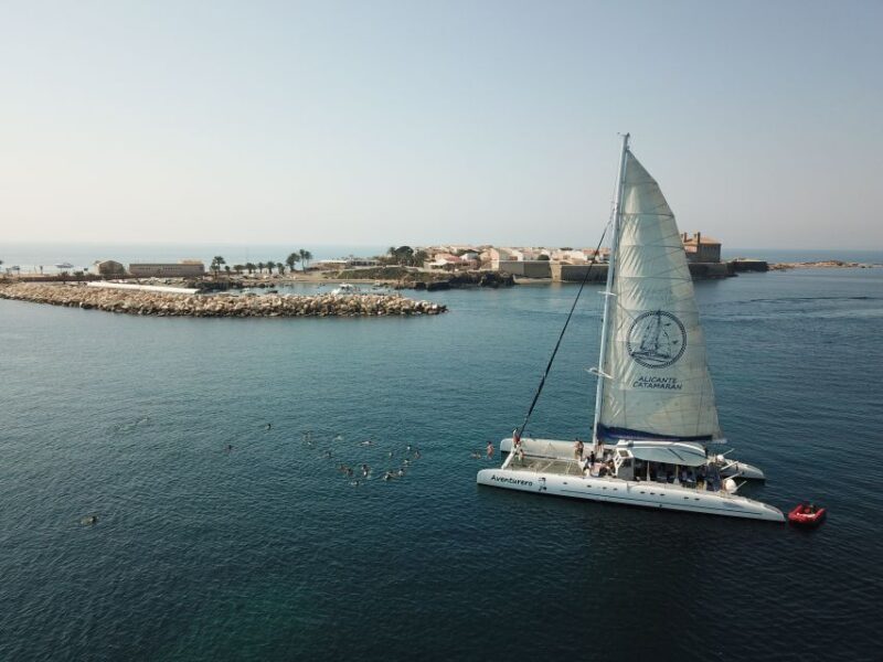 Alicante: 6-Hour Catamaran Cruise to Tabarca Island - FAQs