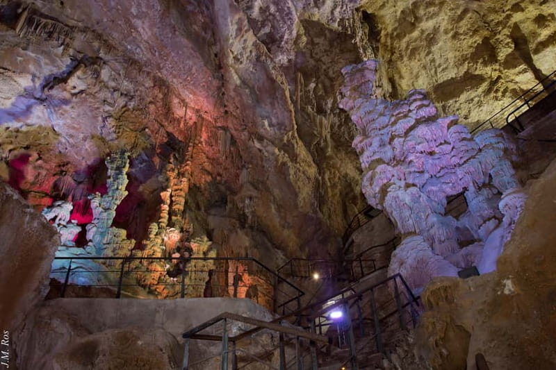 Alicante: Canelobre Caves & Busot Tour with Local Guide - What to Expect on This Excursion