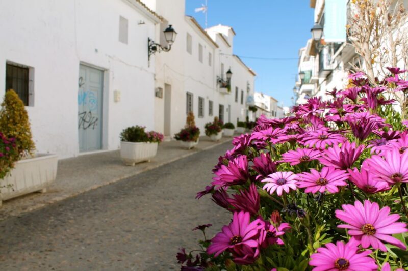 Alicante Charming Villages Tour: Villajoyosa and Altea - Exploring Villajoyosa and Altea