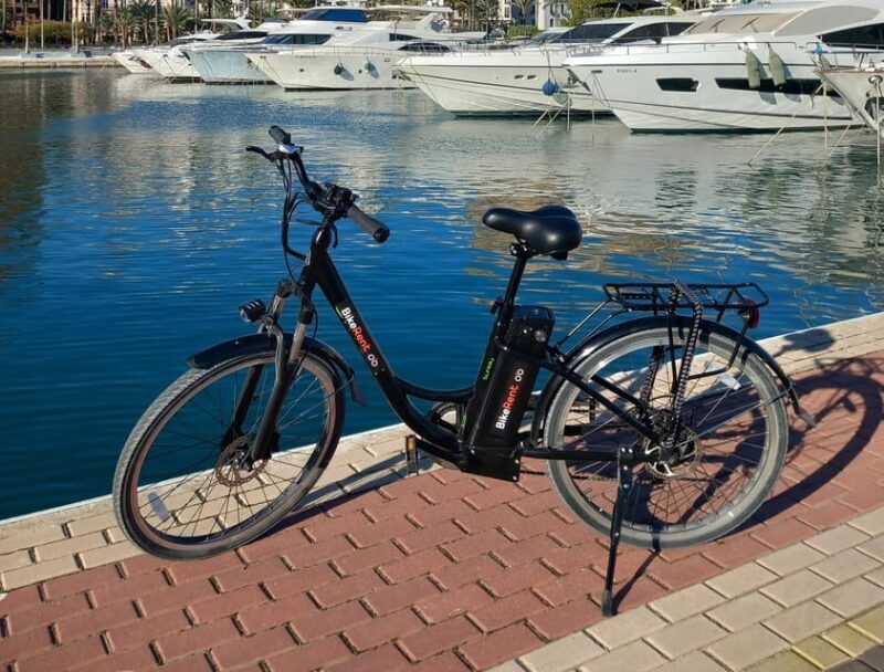 Alicante City Bike Tour - Exploring Alicante on Two Wheels: What to Expect from the Bike Tour