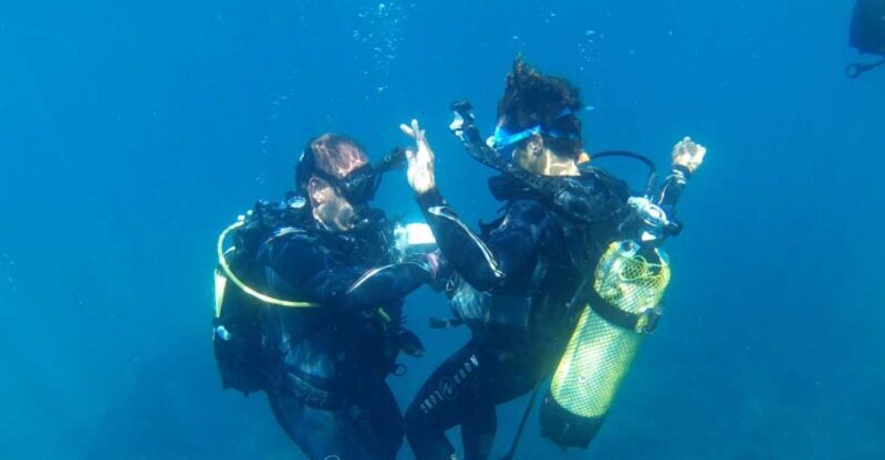 Alicante: Denia Beginners Scuba Diving Experience - An Honest Look at the Denia Beginners Scuba Experience