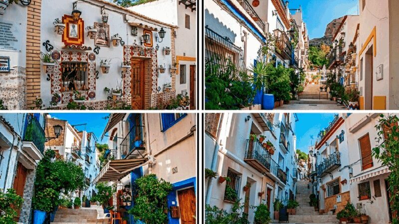 Alicante: E-Bike & Walk, Old Town Santacruz, Basilica - Authentic Traveler Experiences & Insights