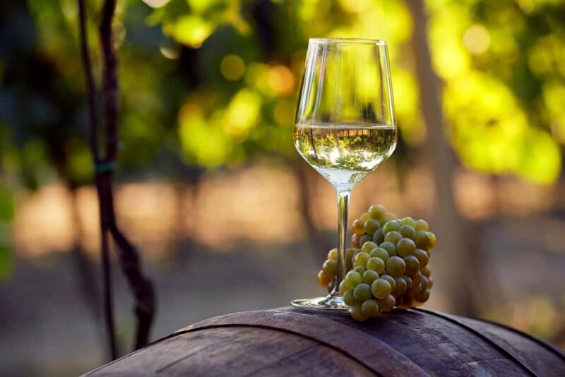 Alicante: Historic Winery Guided Tour + Wine Tasting / Private Transport - Introduction