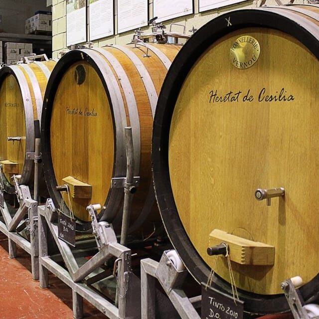 Alicante: Historic Winery Guided Tour + Wine Tasting / Private Transport - The Sum Up