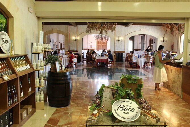 Alicante Old Winery Tour and Wine Tasting Including Transfer - A Deep Dive into the Experience