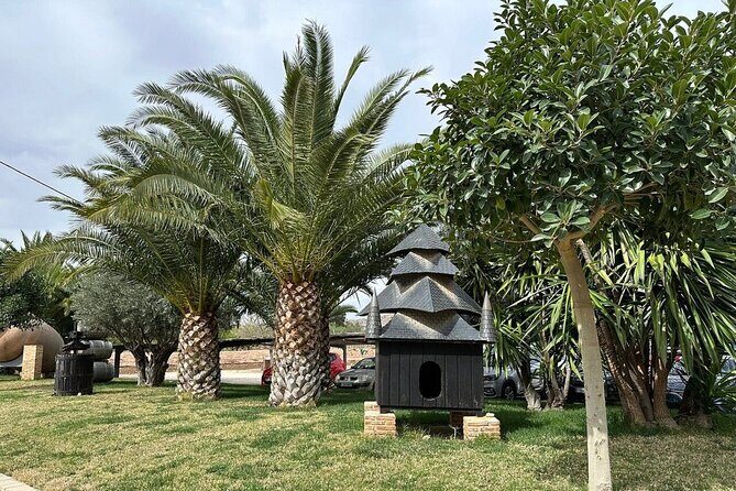 Alicante Old Winery Tour and Wine Tasting Including Transfer - The Sum Up