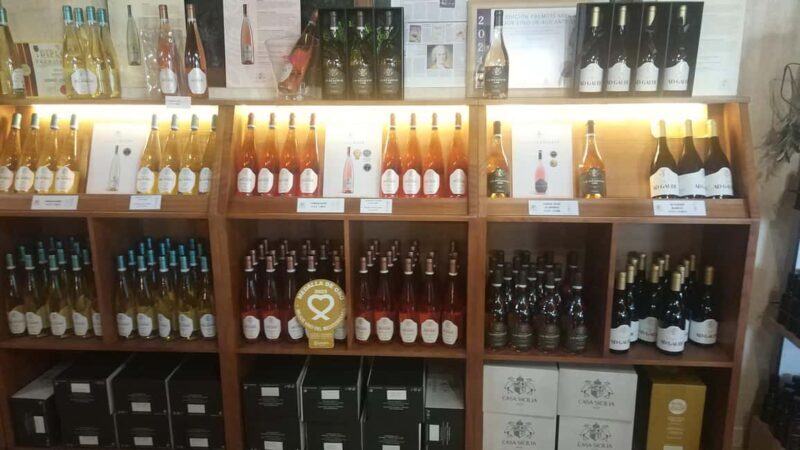 Alicante: Premium Tour of the winery. The best wines. Private transportation. - A Complete Breakdown of the Experience