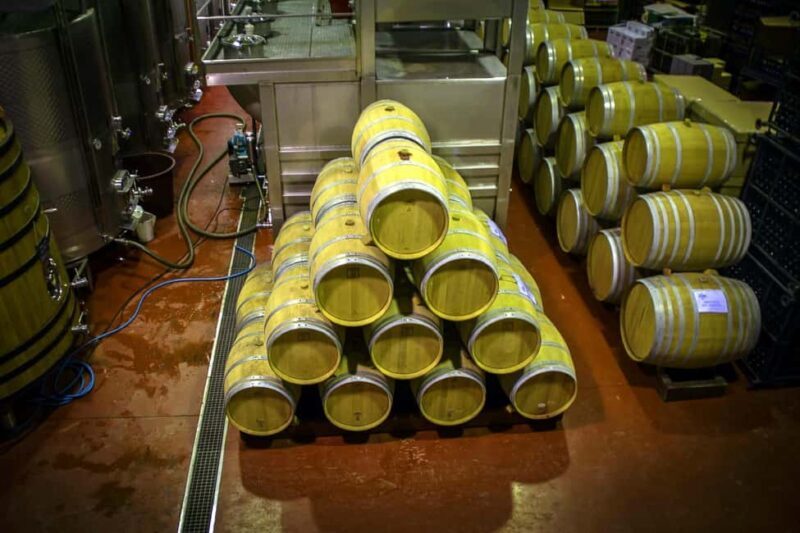 Alicante: Premium Tour of the winery. The best wines. Private transportation. - Final Thoughts