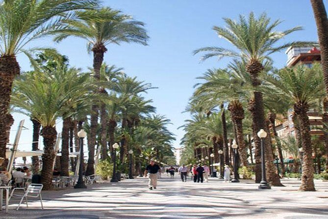 Alicante Shore Excursion: Private Walking Tour - Why This Tour Is Worth It