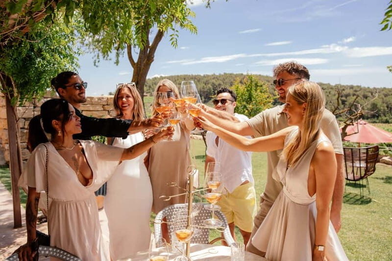 Alicante: Sustainable Wine & Tapas Experience at 3 Wineries - Final Thoughts