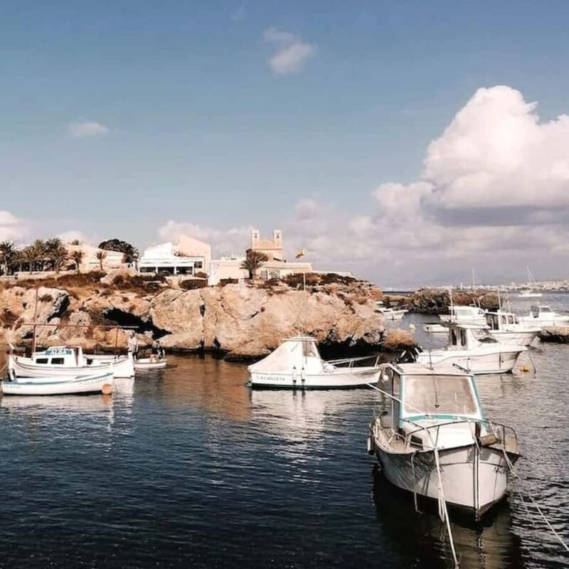 Alicante/Torrevieja: Excursion to Tabarca by ferry, Santa Pola, and Laguna Rosa - What Makes This Tour Stand Out?